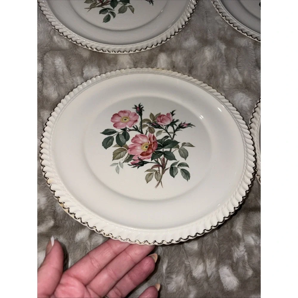Harker Pottery Co. 22 kt gold  Wild Rose (Royal Gadroon) Dinner Plate Lot Of 6